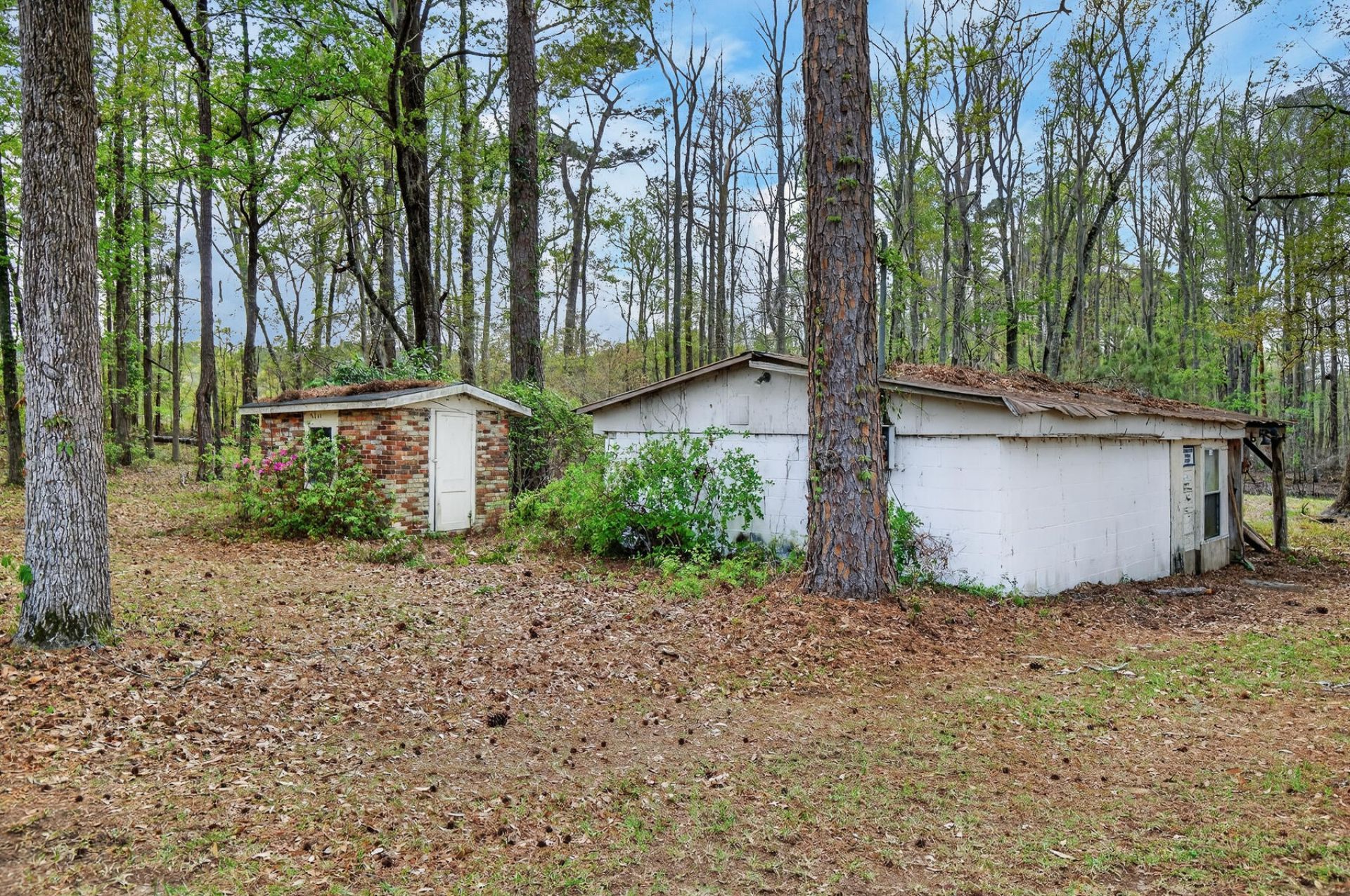 3643 Char-augusta Road Photo 45