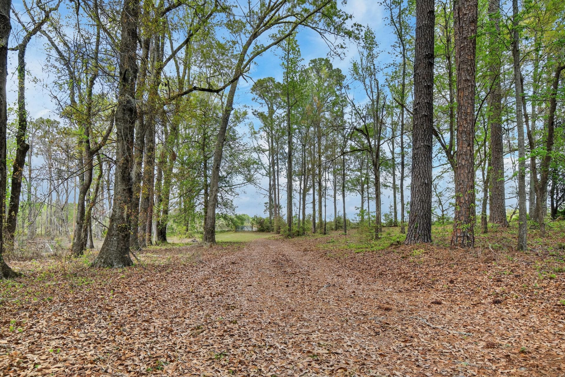 3643 Char-augusta Road Photo 47