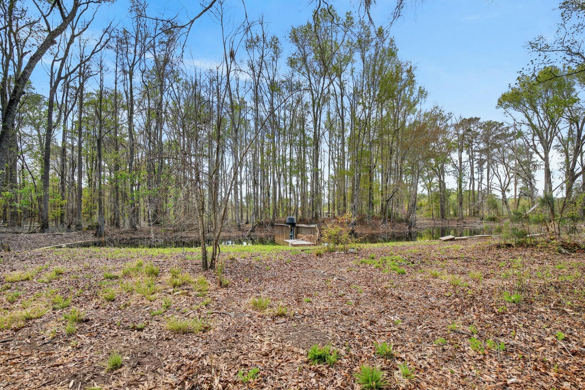 3643 Char-augusta Road Photo 48