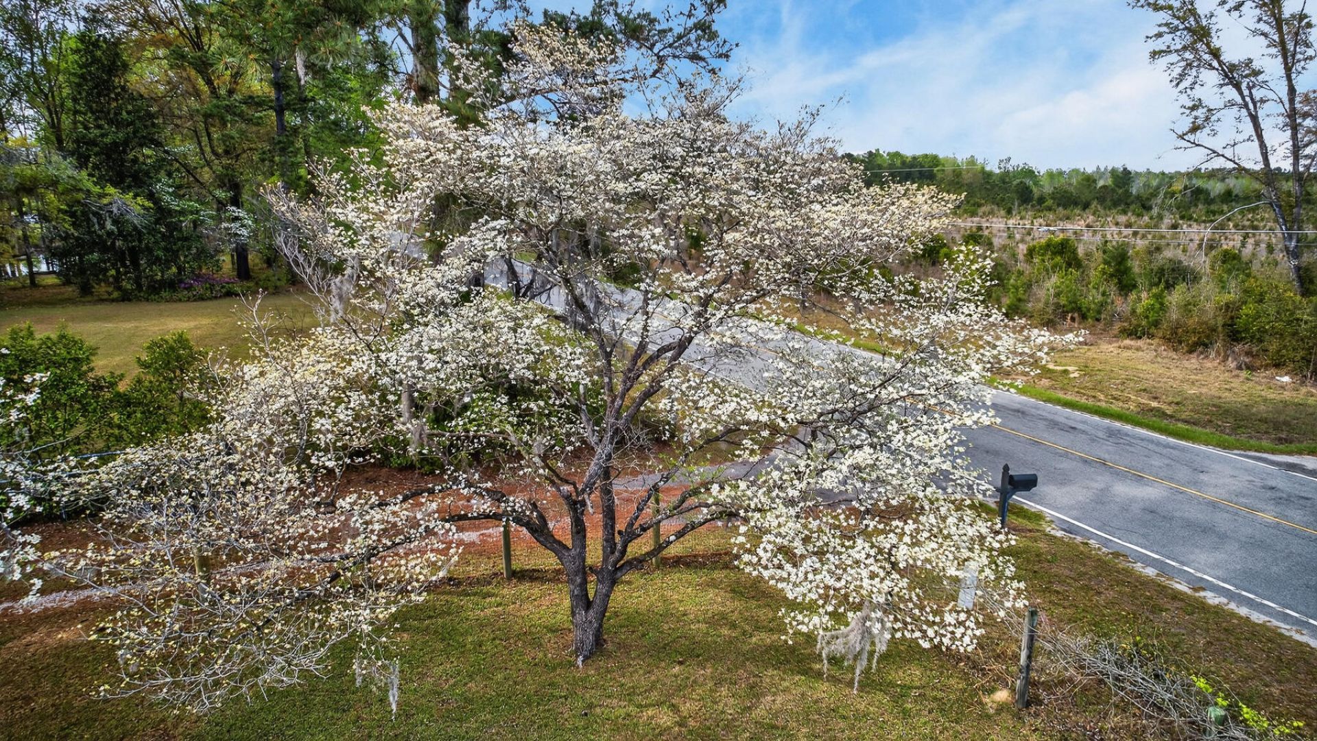 3643 Char-augusta Road Photo 52