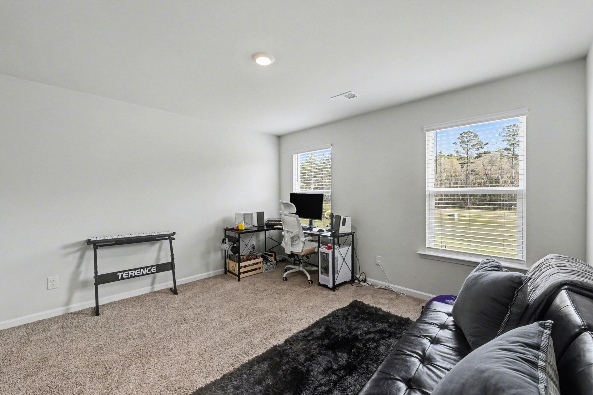 255 Ivory Shadow Road Photo 20