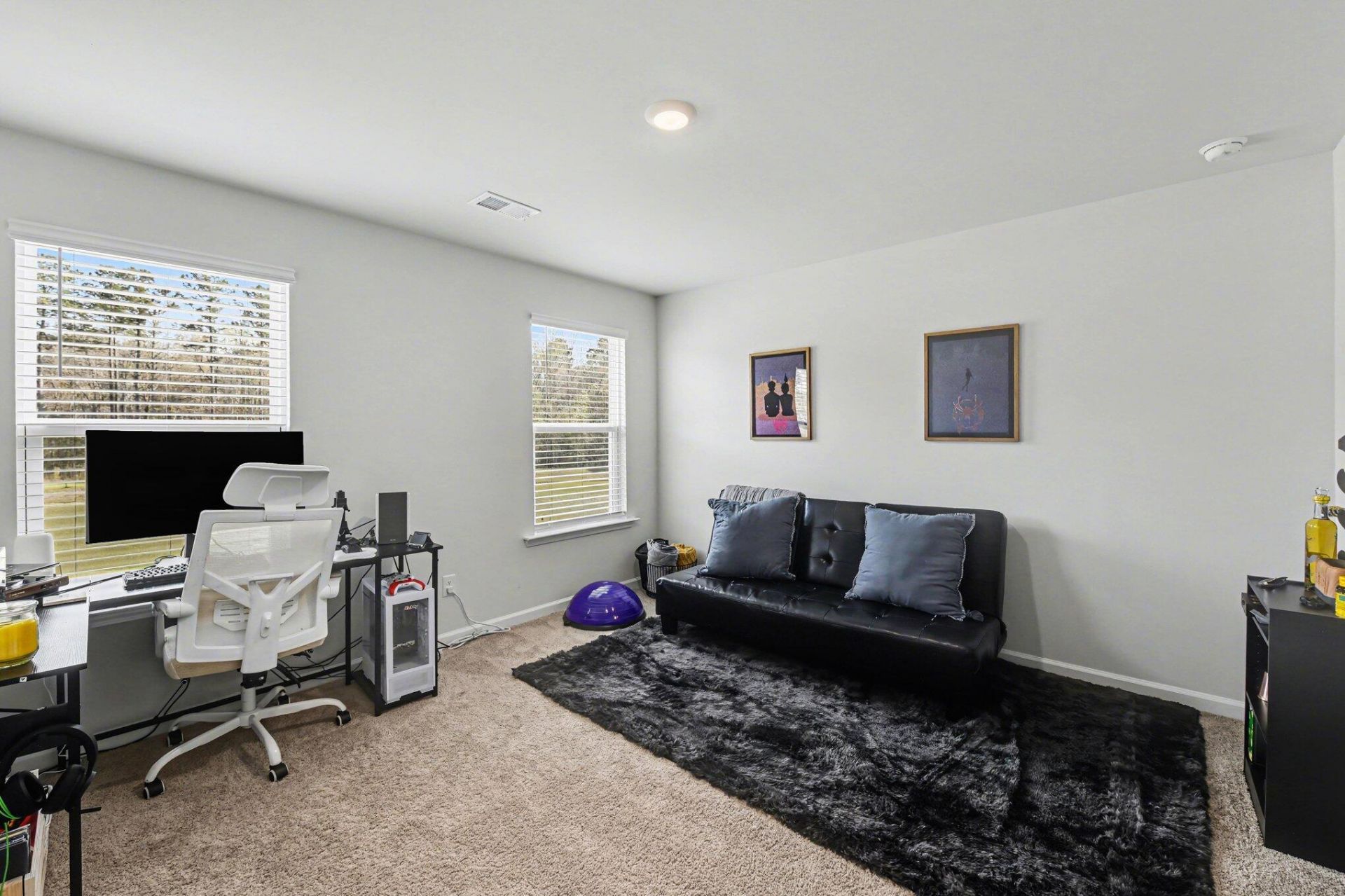 255 Ivory Shadow Road Photo 21