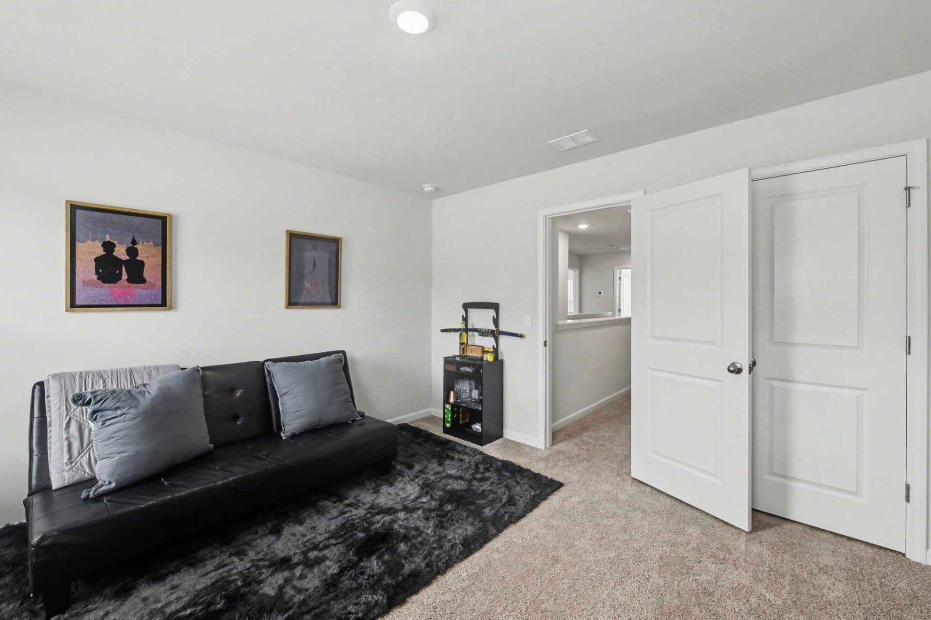 255 Ivory Shadow Road Photo 22