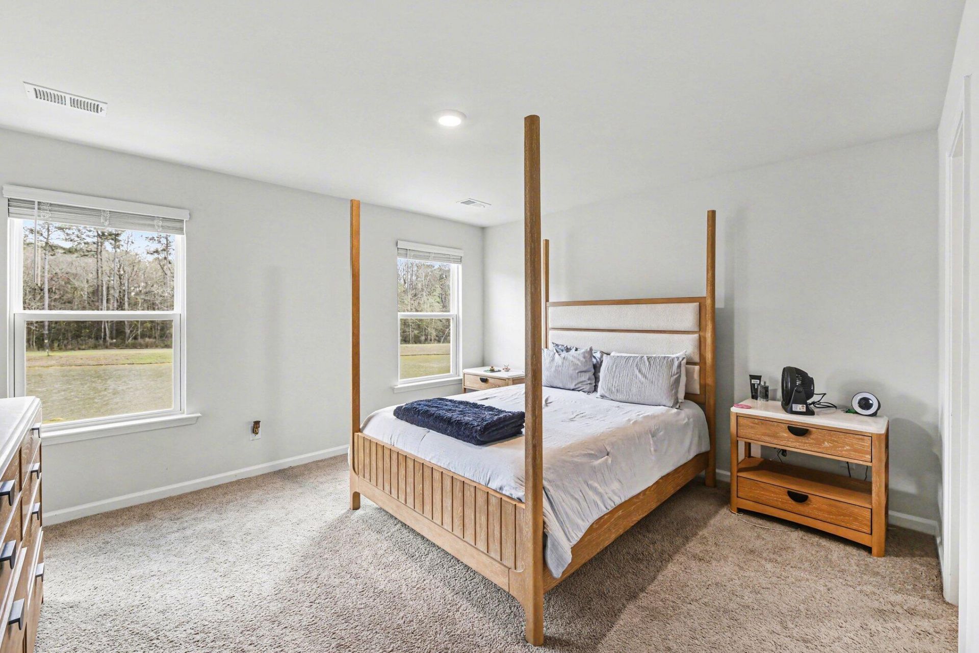 255 Ivory Shadow Road Photo 24