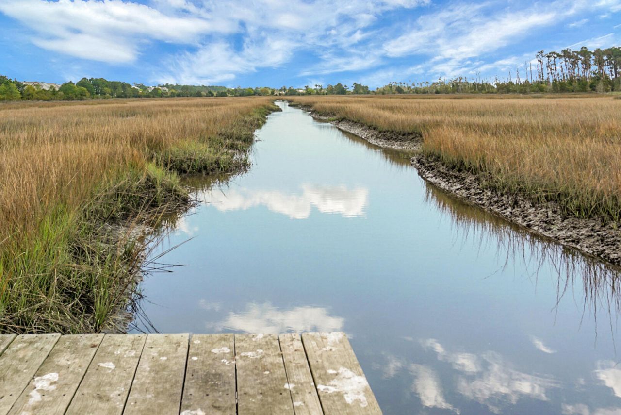 1307 Chardon Commons Photo 66