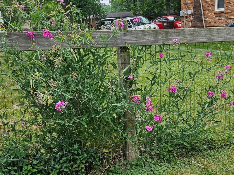 3726 Oakwood Drive, Pierce Twp, OH 45102 Photo 10