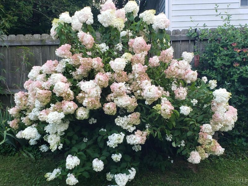 3726 Oakwood Drive, Pierce Twp, OH 45102 Photo 16