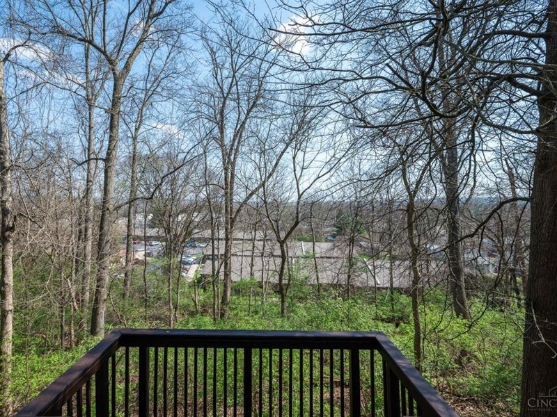 25 Robbie Ridge Road, Milford, OH 45150 Photo 40