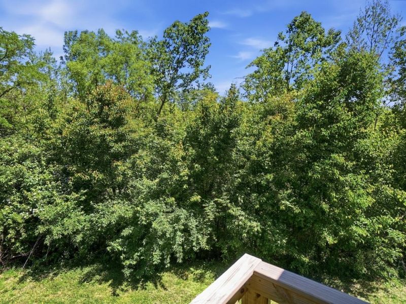 2306 Garrison Drive, Springfield Twp., OH 45231 Photo 17