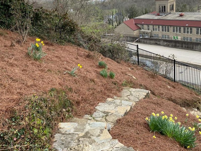 1002 Richwood Circle, Cincinnati, OH 45208 Photo 73