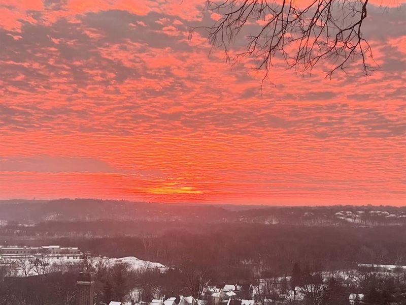 1002 Richwood Circle, Cincinnati, OH 45208 Photo 78