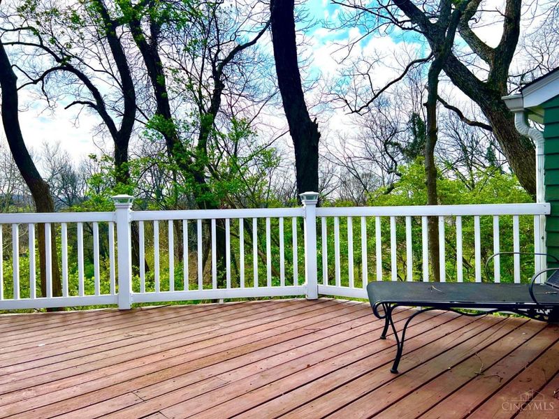 2 Lexington Circle, Terrace Park, OH 45174 Photo 49