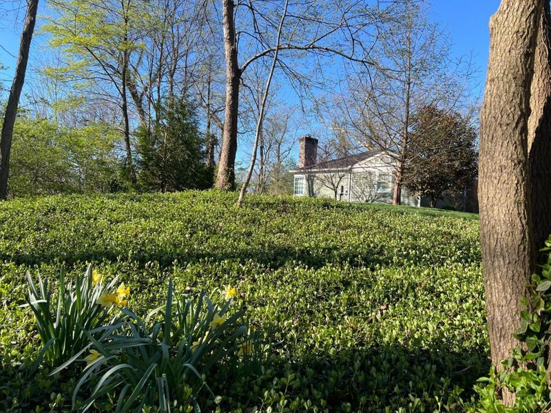 2 Lexington Circle, Terrace Park, OH 45174 Photo 52