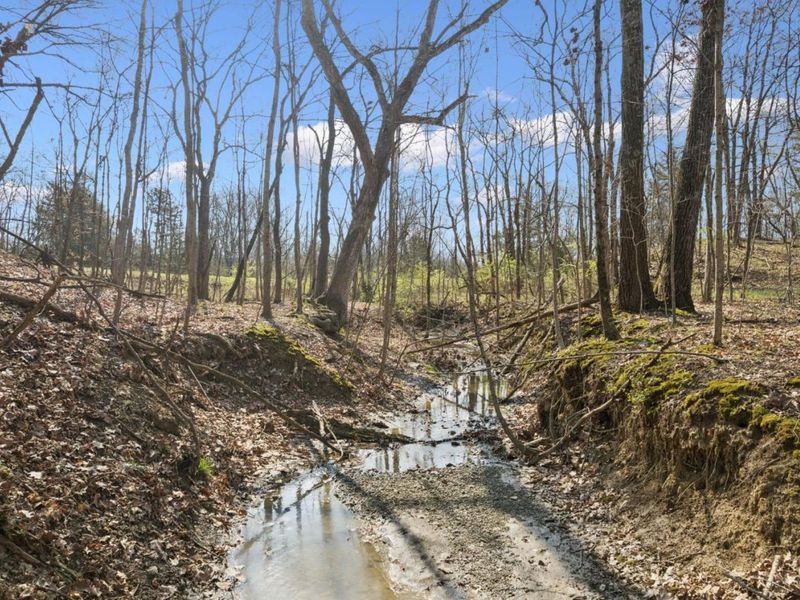 117 Spearhead Drive, Jackson Twp, OH 45171 Photo 16