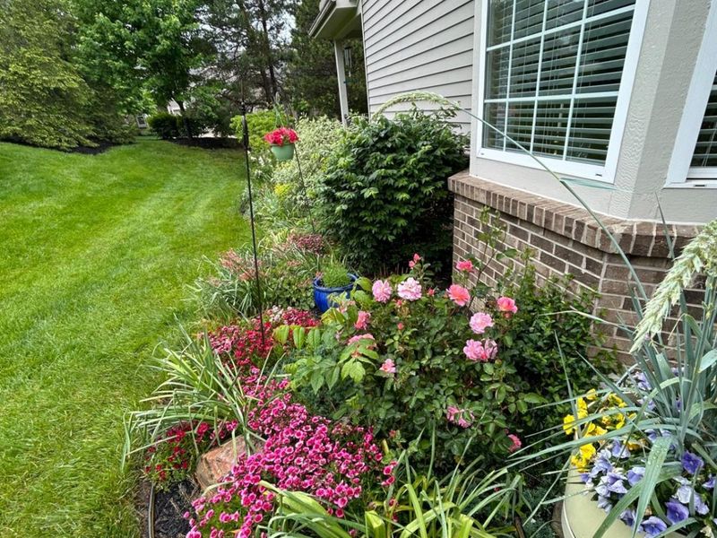 2469 Walnutview Court, Cincinnati, OH 45230 Photo 79