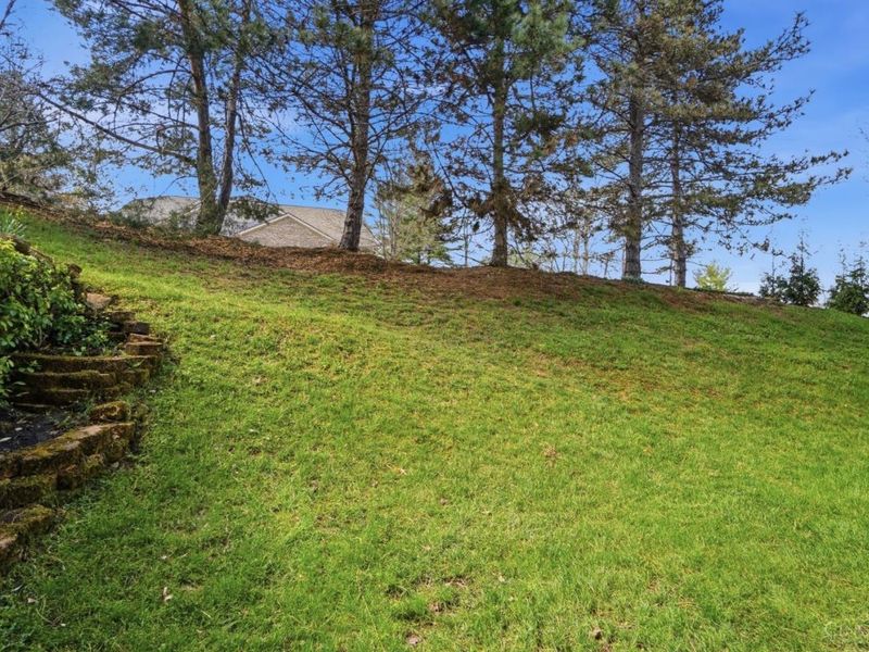 2469 Walnutview Court, Cincinnati, OH 45230 Photo 88