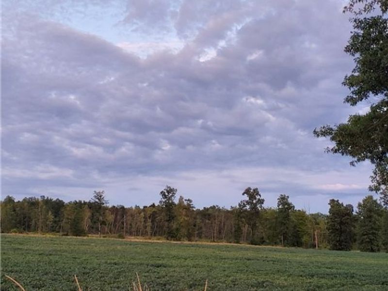 2506 State Route 534 , Southington, OH 44470 Photo 29