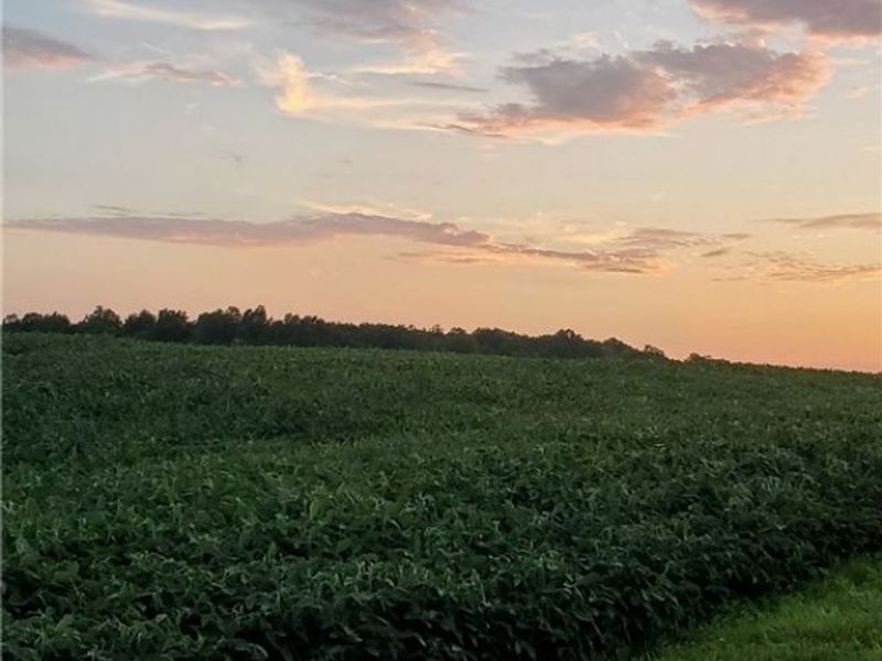 2506 State Route 534 , Southington, OH 44470 Photo 31