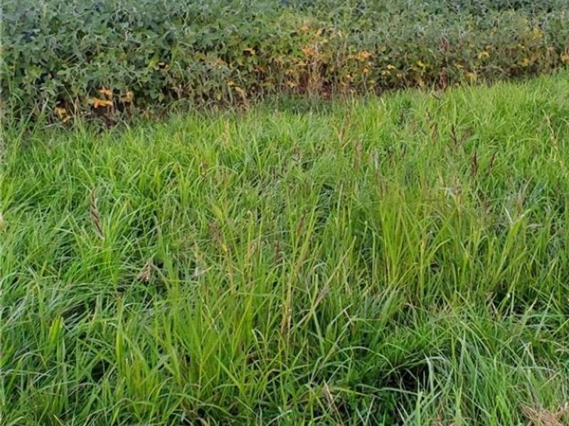 2506 State Route 534 , Southington, OH 44470 Photo 32