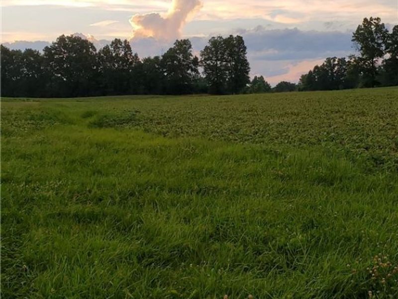 2506 State Route 534 , Southington, OH 44470 Photo 33