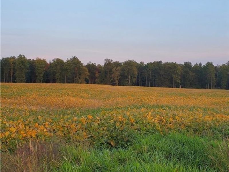 2506 State Route 534 , Southington, OH 44470 Photo 34