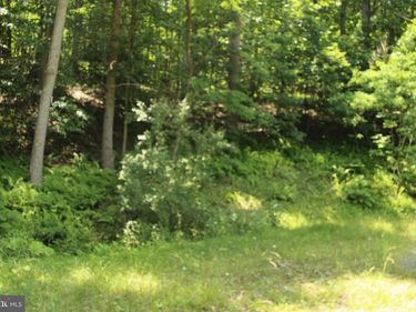 0 NETHERS, SPERRYVILLE, VA 22740