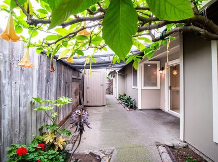 1 Pinache Ct, Sacramento, CA 95838 Photo