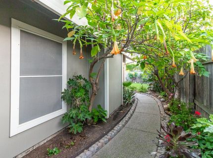 1 Pinache Ct, Sacramento, CA 95838 Photo