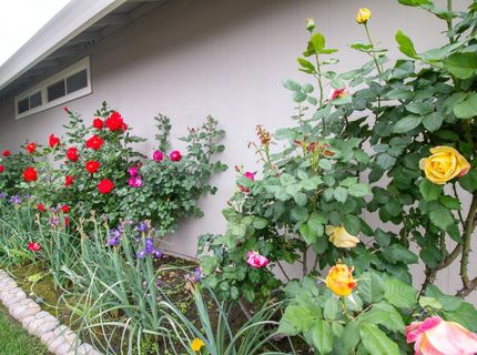 1 Pinache Ct, Sacramento, CA 95838 Photo