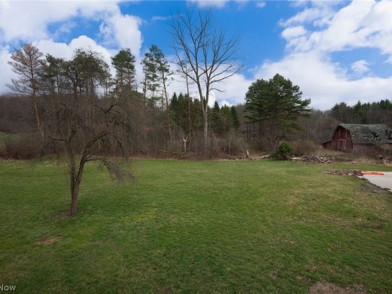 2816 Hoagland Blackstub Road, Cortland, OH 44410 Photo 26