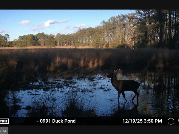 2839 LAKESVILLE CRAPO ROAD , CHURCH CREEK, MD 21622