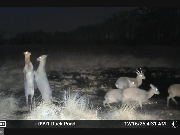 2839 LAKESVILLE CRAPO ROAD, CHURCH CREEK, MD 21622