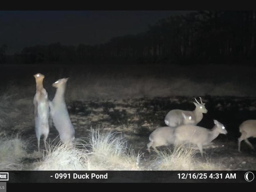 2839 Lakesville Crapo Road, Church Creek, MD 21622 Main Photo