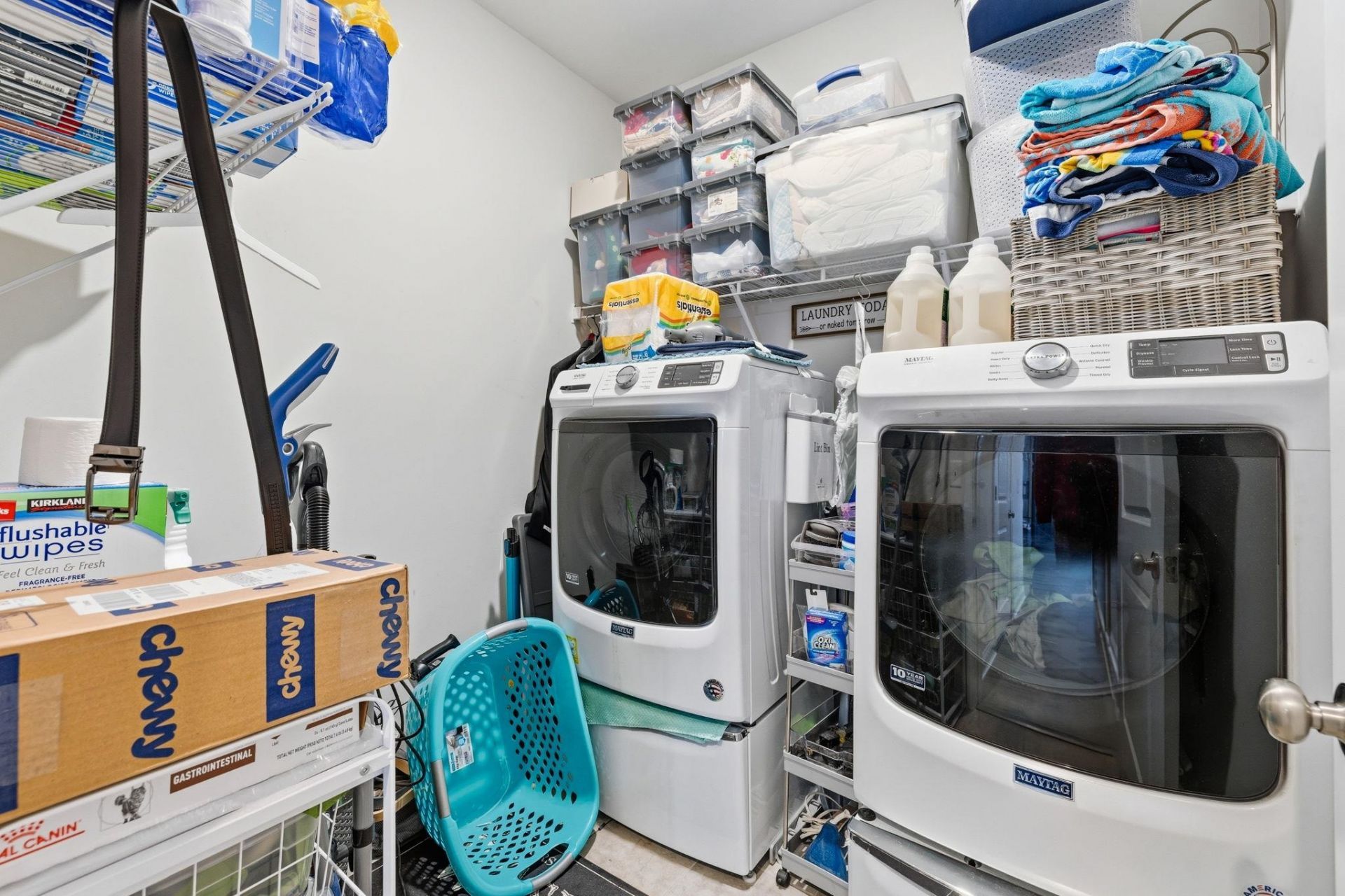 163 Machrie Loop  Photo 30