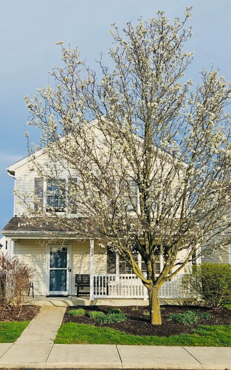 144 Bartlett Street, Delaware, OH 43015 Main Photo