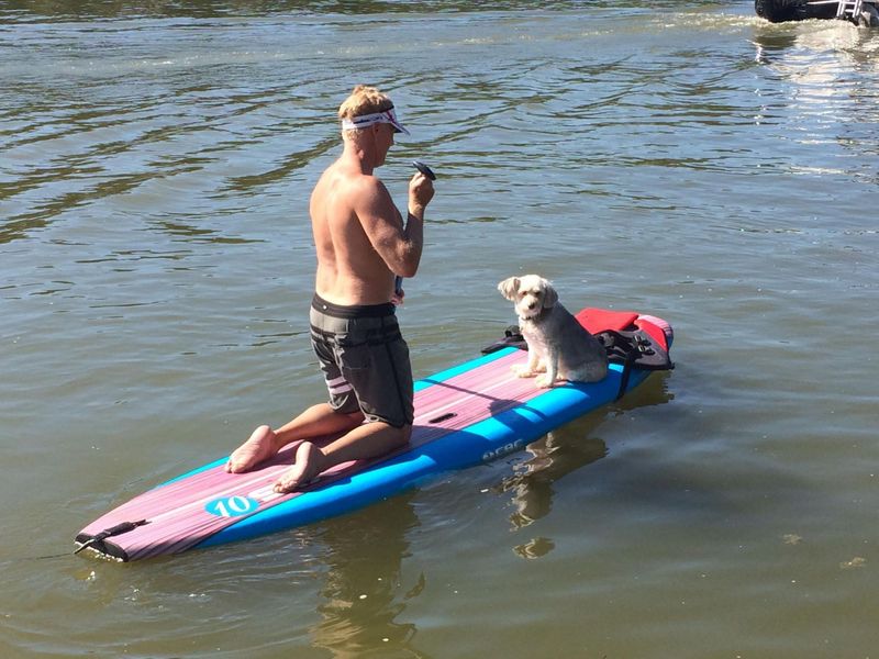 177 Northern Spy Drive , Howard, OH 43028 Photo 45