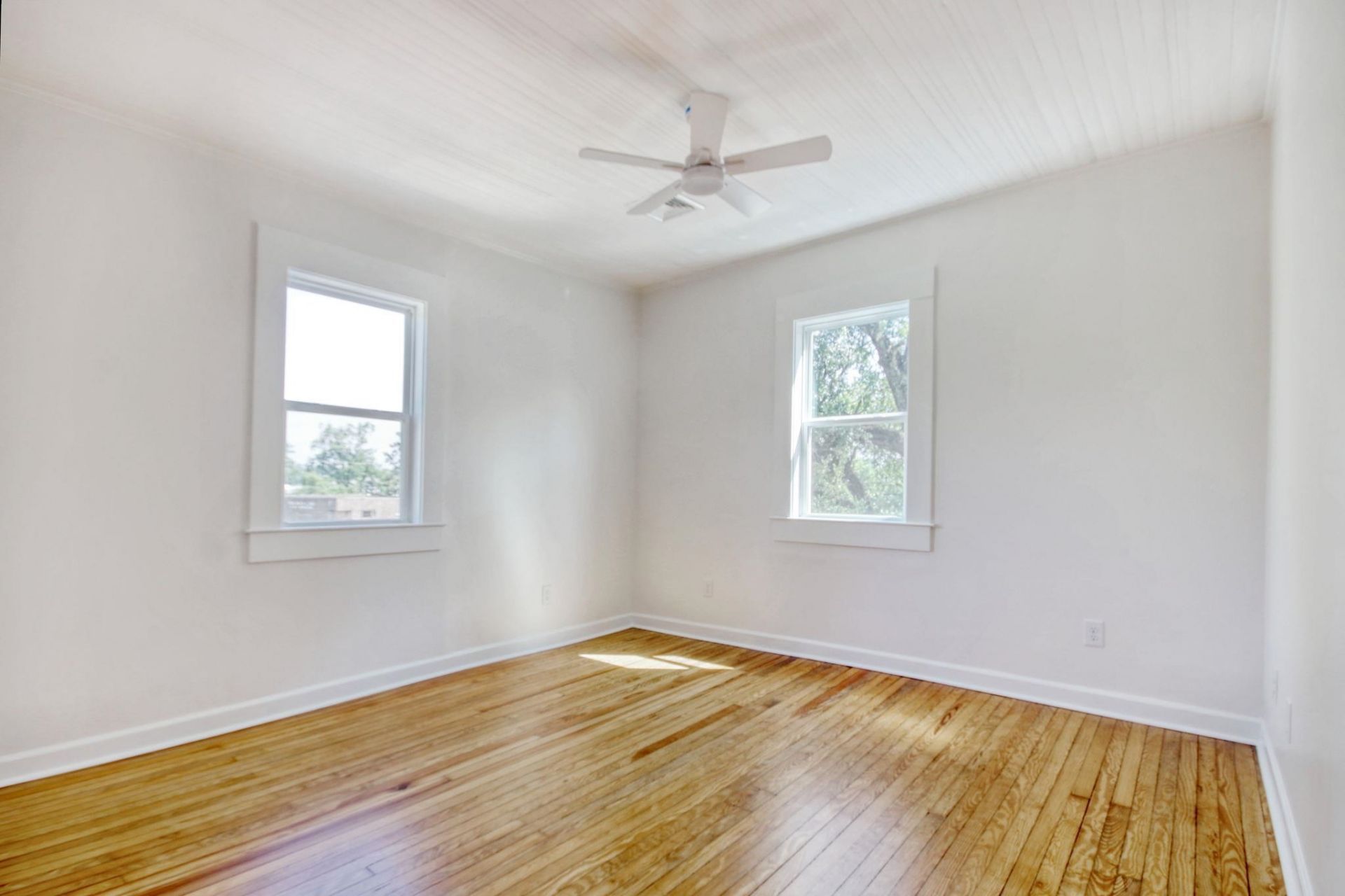 1209 Prince St. Photo 16