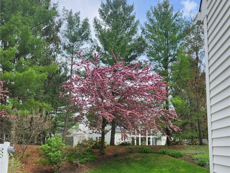 985 Goldenrod Trail , Aurora, OH 44202 Photo 40