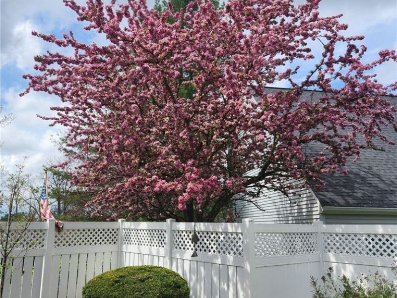 985 Goldenrod Trail , Aurora, OH 44202 Photo 42