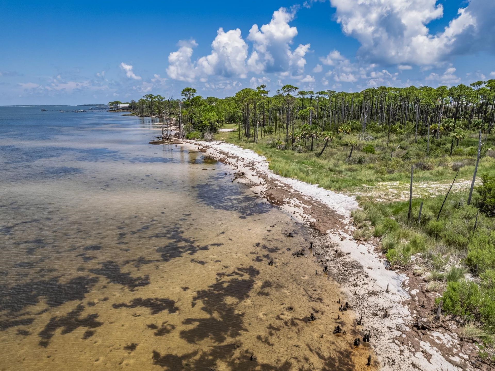 865 E Pine Avenue , Saint George Island, FL 32328 Photo