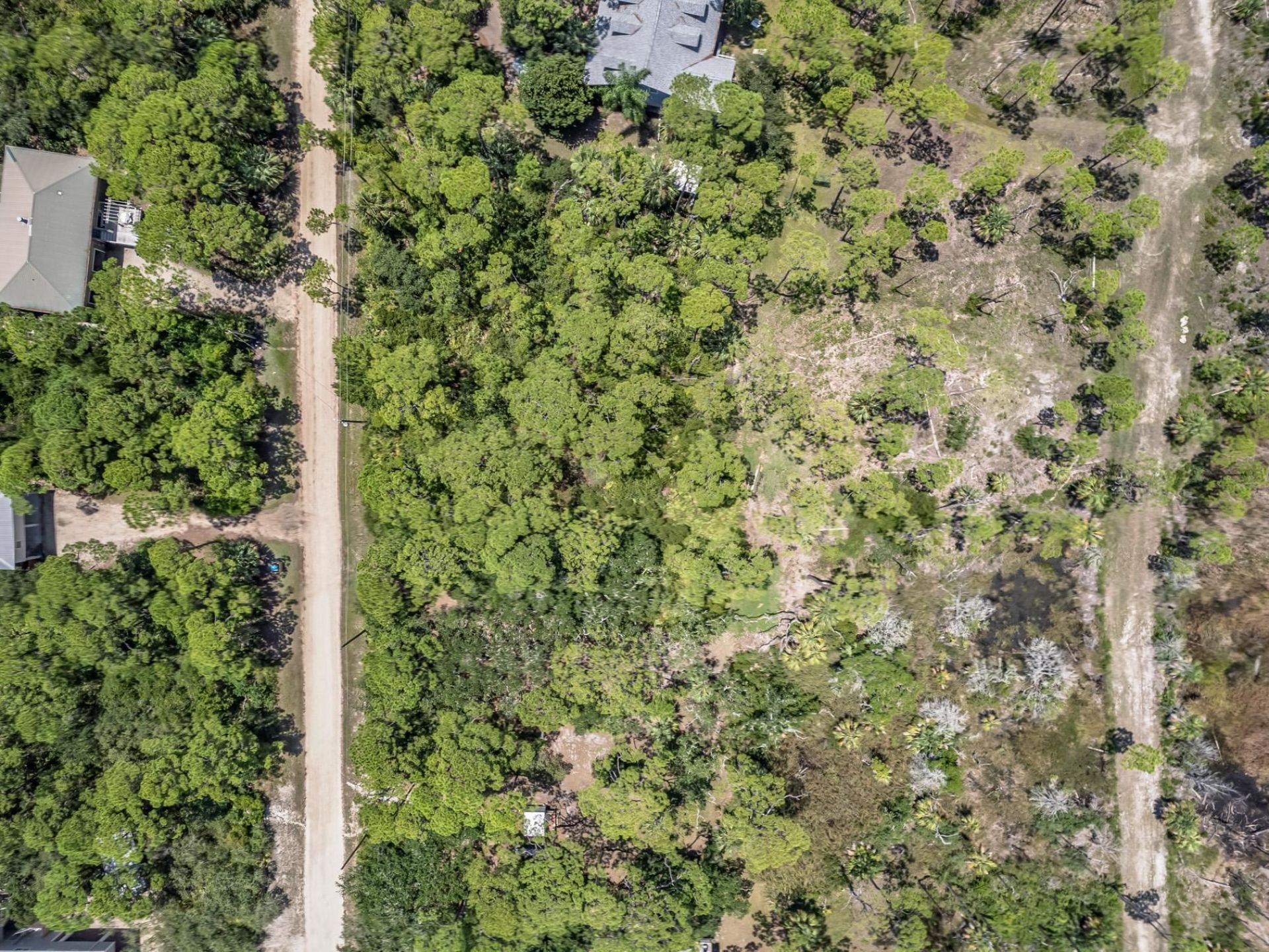 865 E Pine Avenue , Saint George Island, FL 32328 Photo