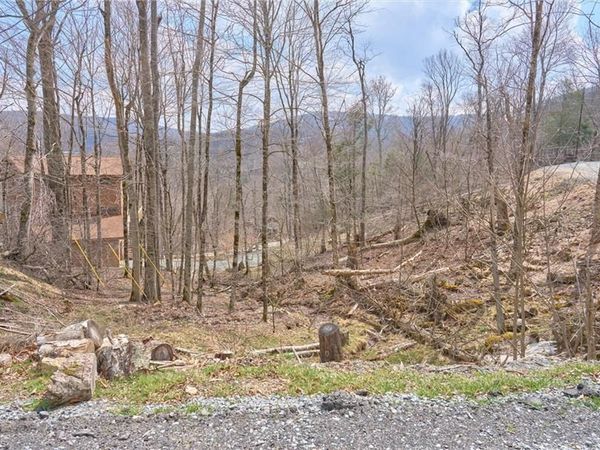 101 Foxgrape Hollow Road , Beech Mountain, NC 28604