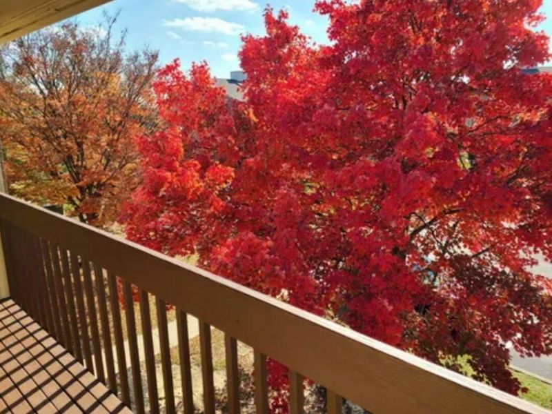 6 Highland Meadows Drive, Unit 9, Highland Heights, KY 41076 Photo 12