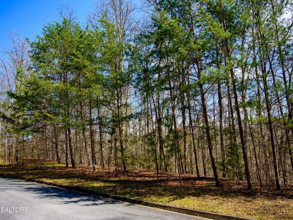 Turtle Dove Tr, Dandridge, TN 37725
