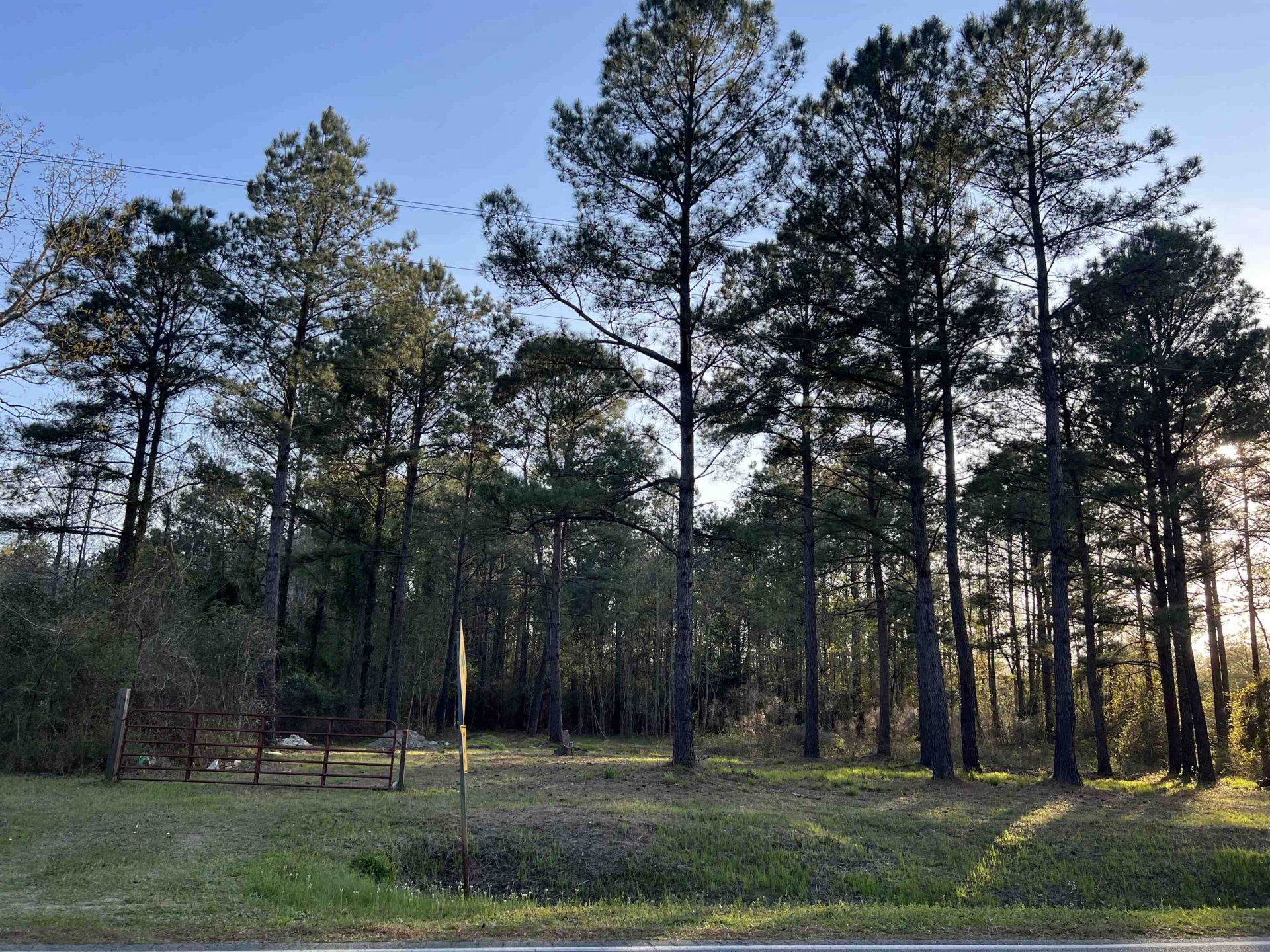 2108 Lees Landing Circle  Photo 10