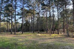 2108 Lees Landing Circle  photo 4