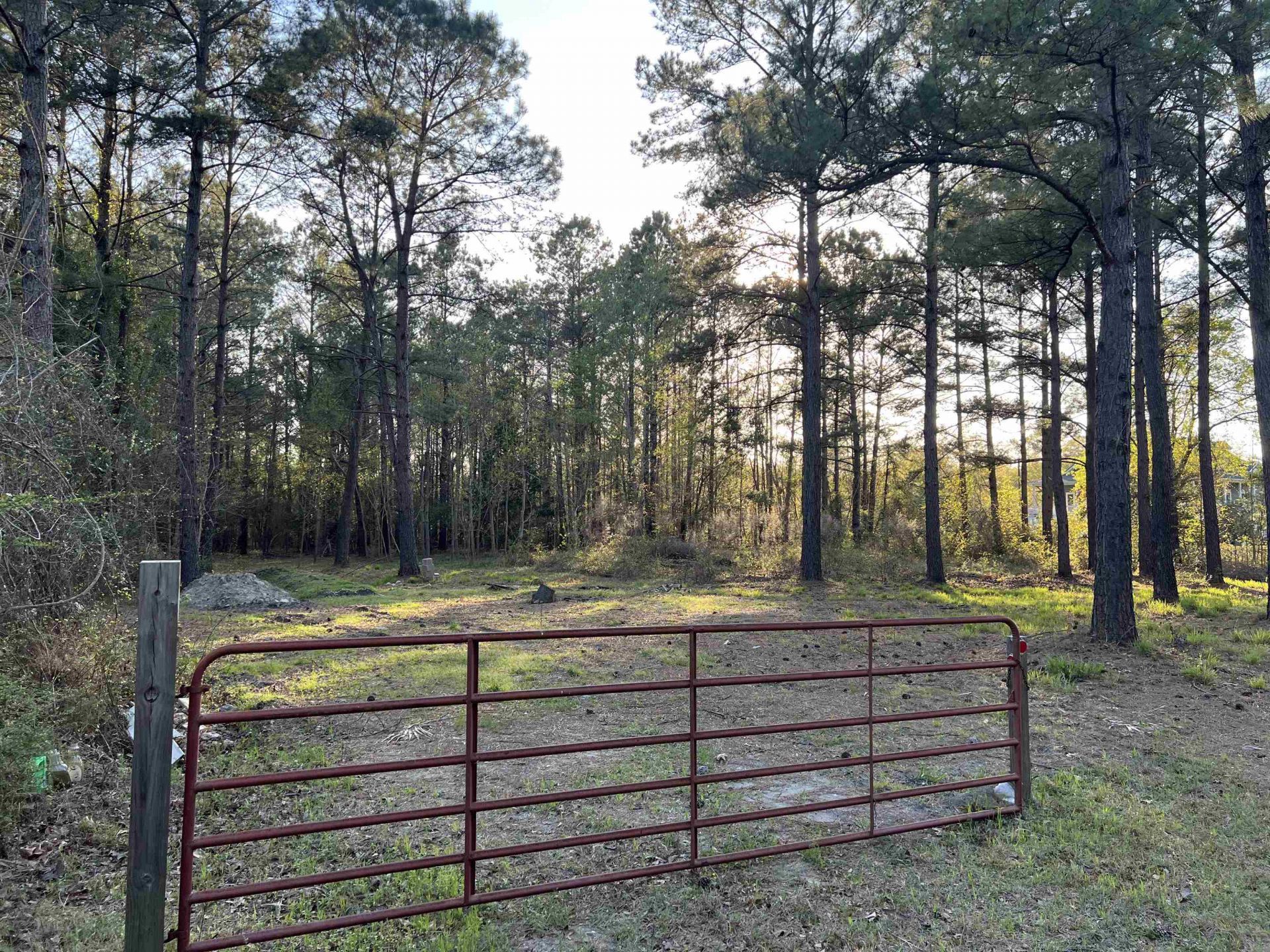 2108 Lees Landing Circle  Photo 4