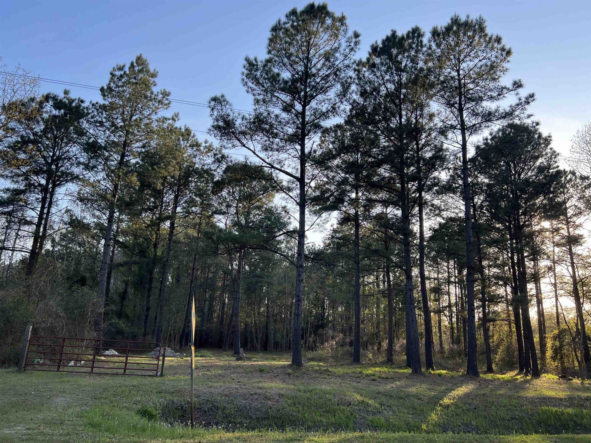 2108 Lees Landing Circle  Photo 9