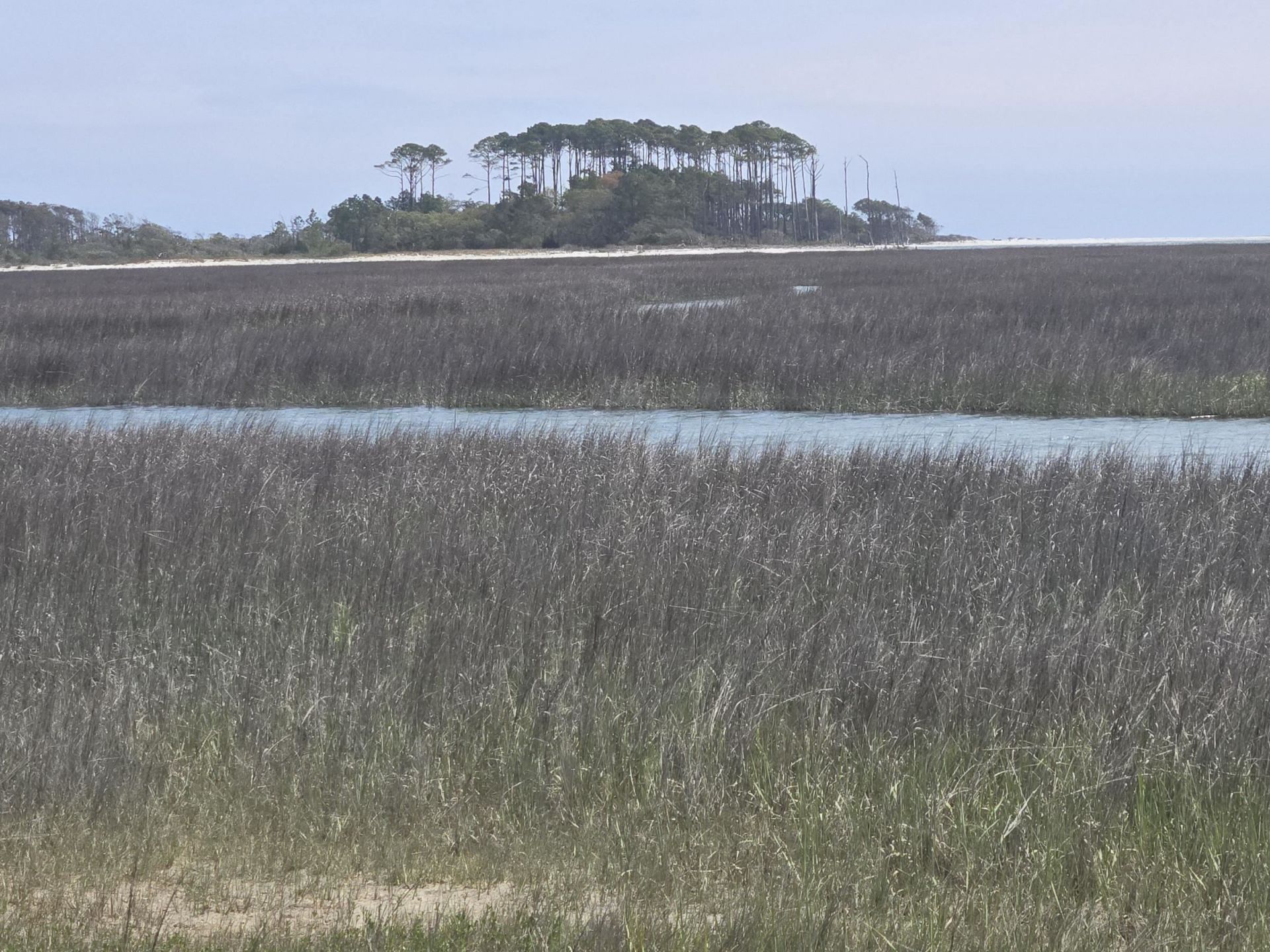 5400 Little River Neck Rd. Photo 11