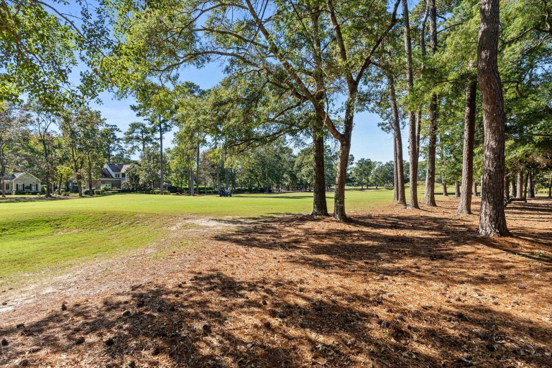 4338 Hunters Wood Dr. Photo 56